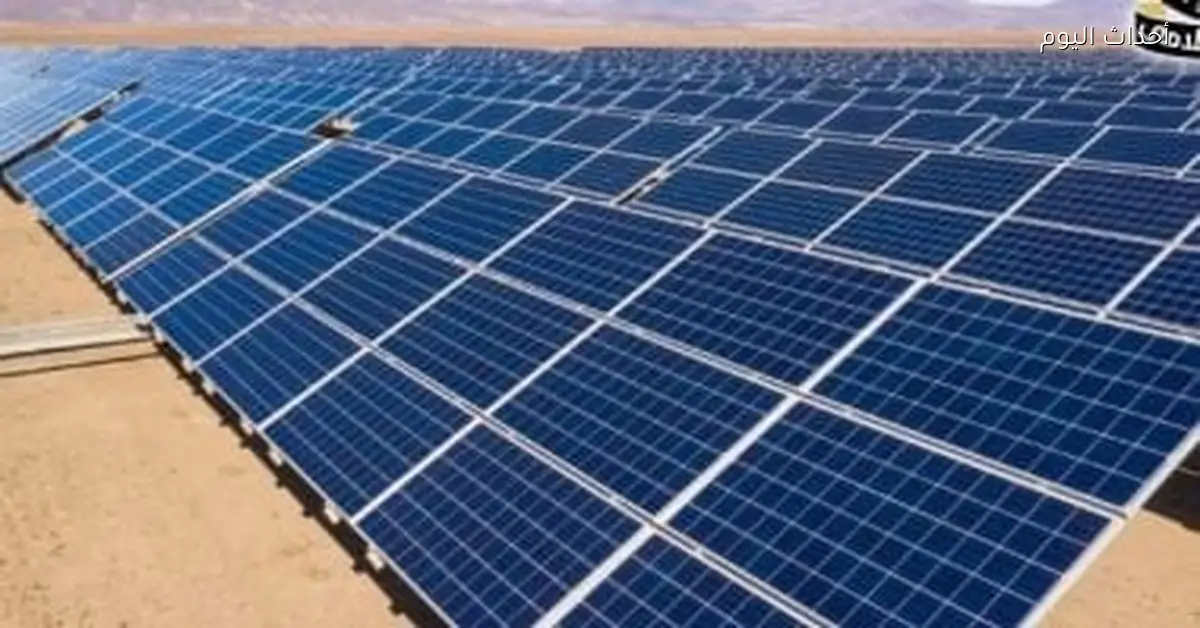 مجلس الوزراء يعلن عن 17 محطة طاقة شمسية في مشروع الاستثمارات الزراعية المستدامة