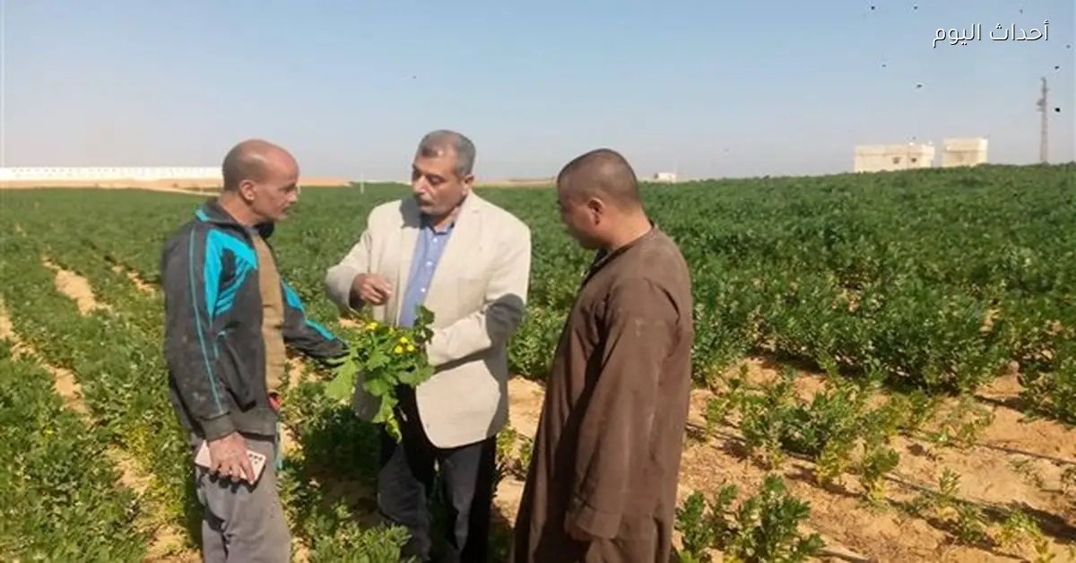 محافظ أسيوط يؤكد ضرورة متابعة الزراعة ووكيل الزراعة يتفقد المحاصيل