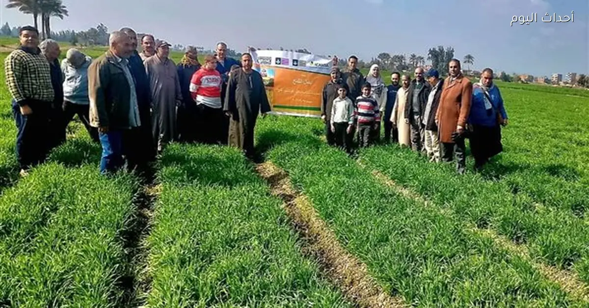 محافظ الشرقية يؤكد أهمية القطاع الزراعي للاقتصاد المحلي