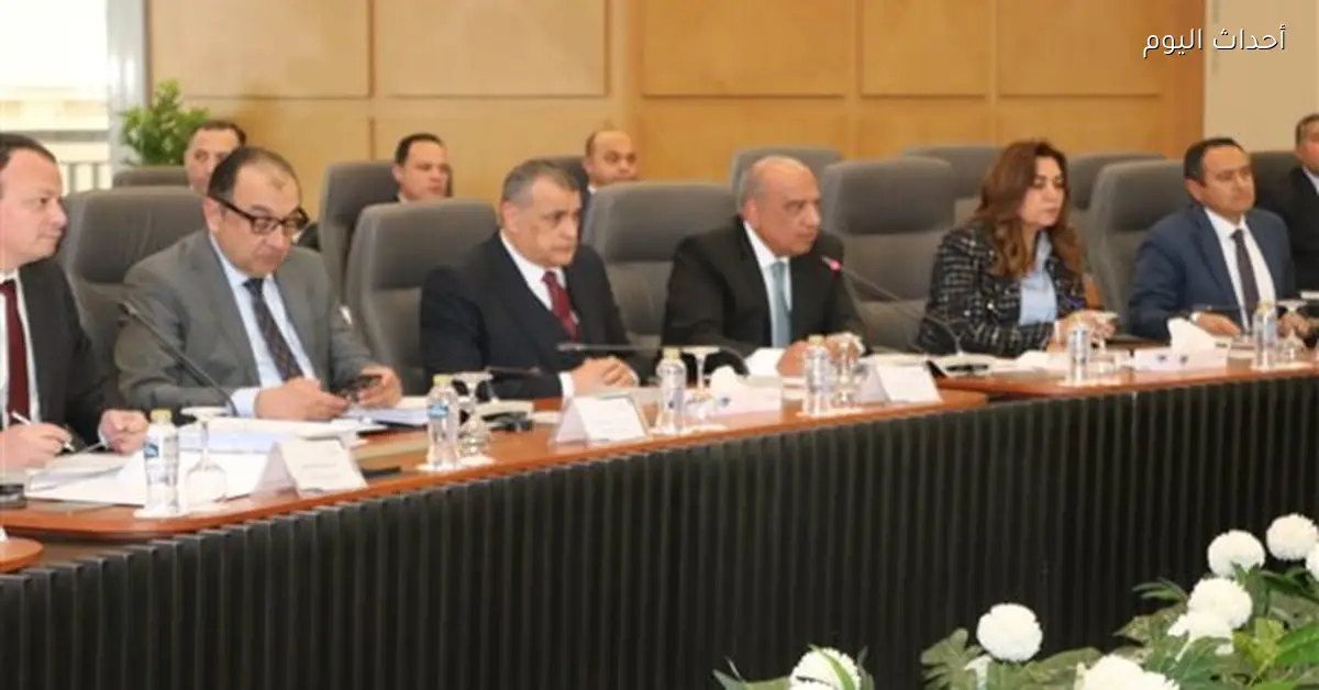 محمود عصمت: توفير الطاقة الكهربائية أساس التنمية الشاملة