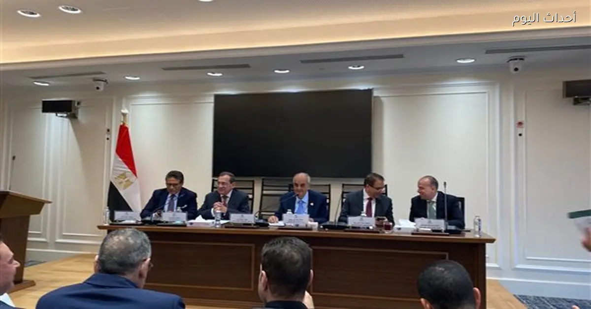 موافقات مبدئية على تعديلات قانون الكهرباء بزيادة العقوبات