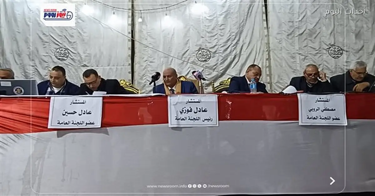 نتائج حصر أصوات الناخبين بالدائرة الثالثة بالفيوم