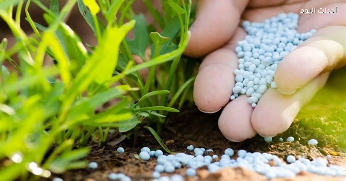 نقص الأسمدة يهدد المحاصيل الاستراتيجية والفلاحون يحتجون