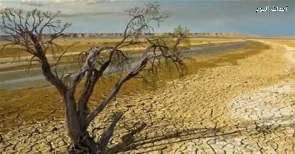 نواب: التغيرات المناخية أزمة أمن قومي تتطلب حلولًا فورية