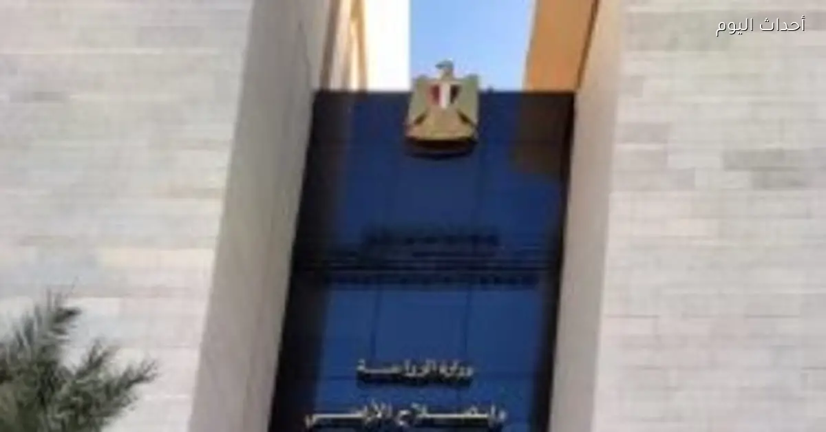 وزارة الزراعة تؤكد عدم وجود مبرر لارتفاع أسعار الكتاكيت في الأسواق