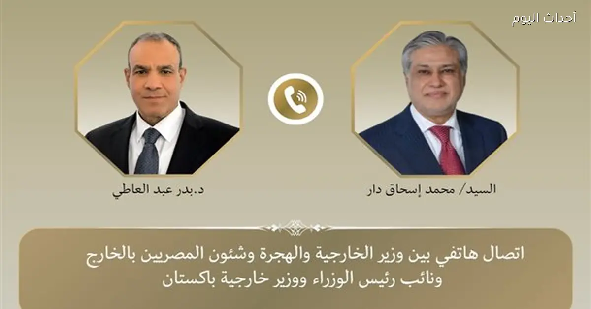 وزير الخارجية يبحث مع نظيره الباكستاني الأوضاع الإقليمية الحالية