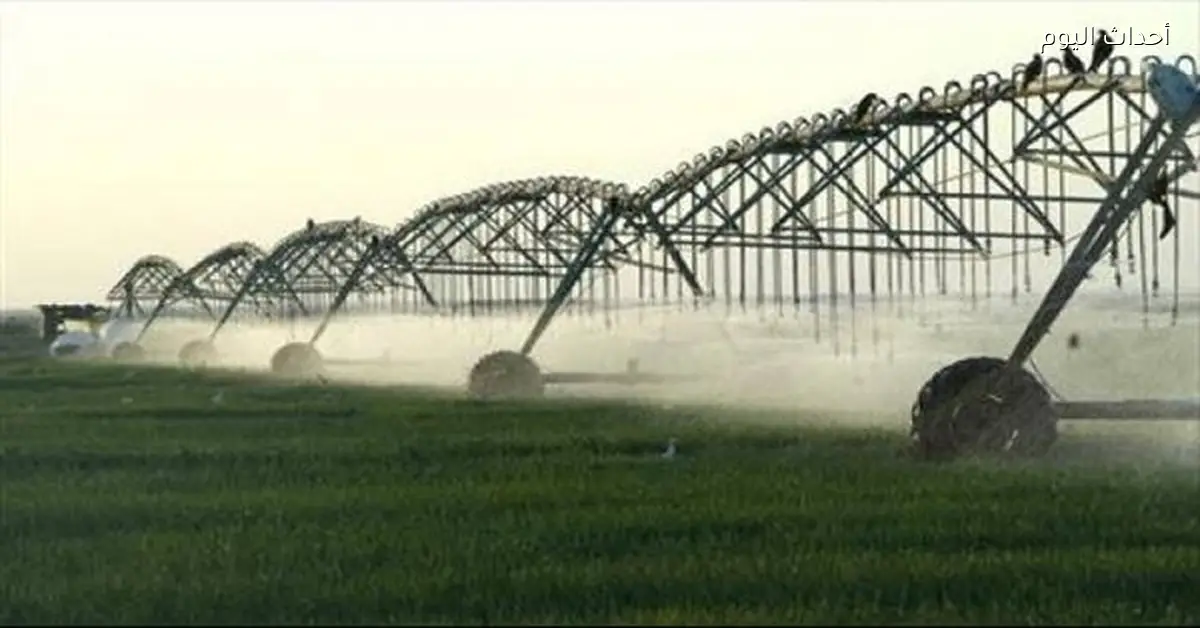 وزير الري يتحمل مسؤولية إهدار الموارد بمشروع توشكى