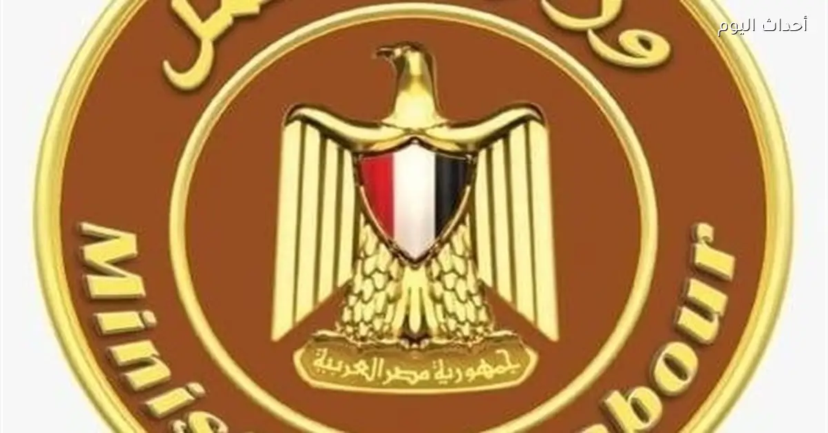 وزير العمل يحقق مع موظفي مكتب عمل دسوق بكفر الشيخ بعد فيديو الغياب