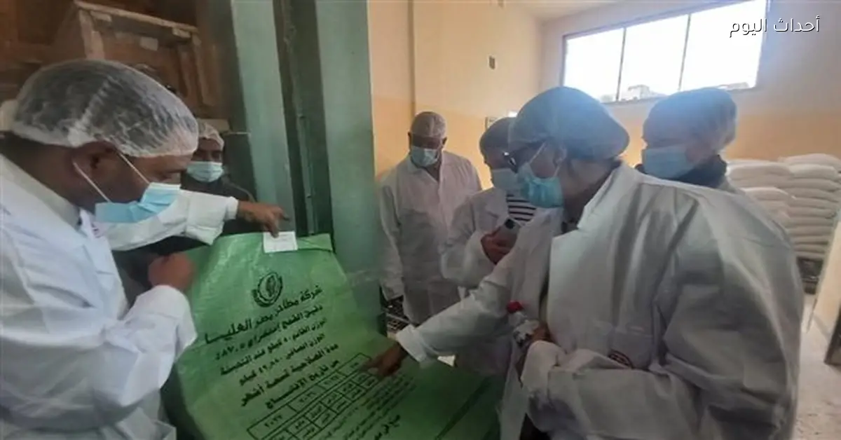 وفد دولي يشيد بجودة خبز مطحن الاتحاد بالأقصر