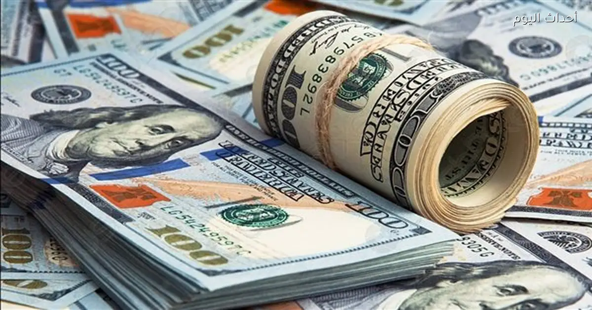 سعر الدولار اليوم الأحد 1 فبراير 2026 يشهد استقراراً في البنوك