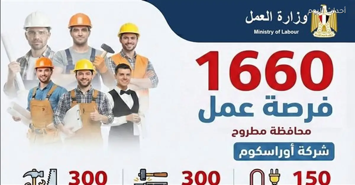 1660 فرصة عمل برواتب تصل إلى 12000 جنيه
