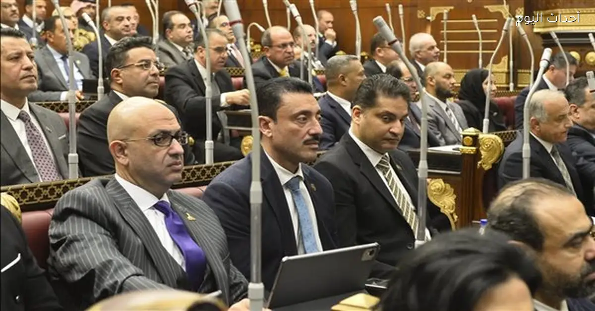 محمد رزق يناقش مشروع قانون تطوير المستشفيات الجامعية