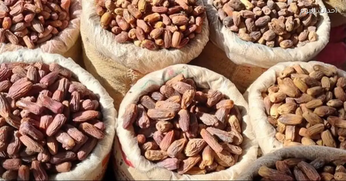 أسعار البلح والتمور في معرض أهلا رمضان 2026 بجميع المحافظات