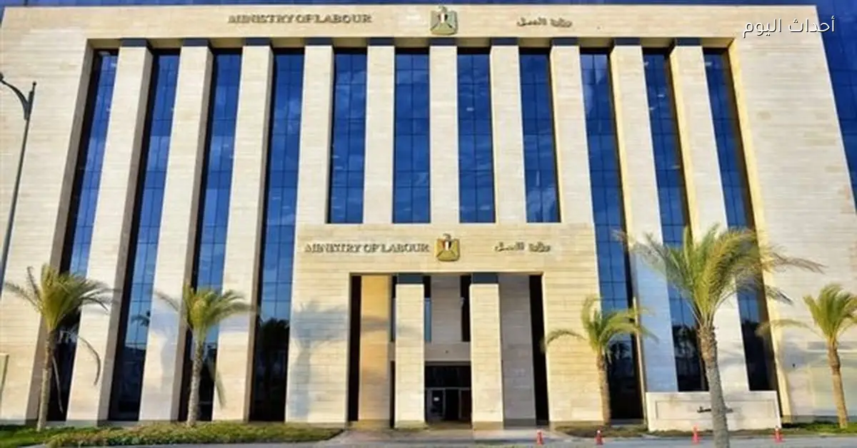 85 محضرًا لمخالفات عقود العمل و323 لمخالفات الحد الأدنى للأجور