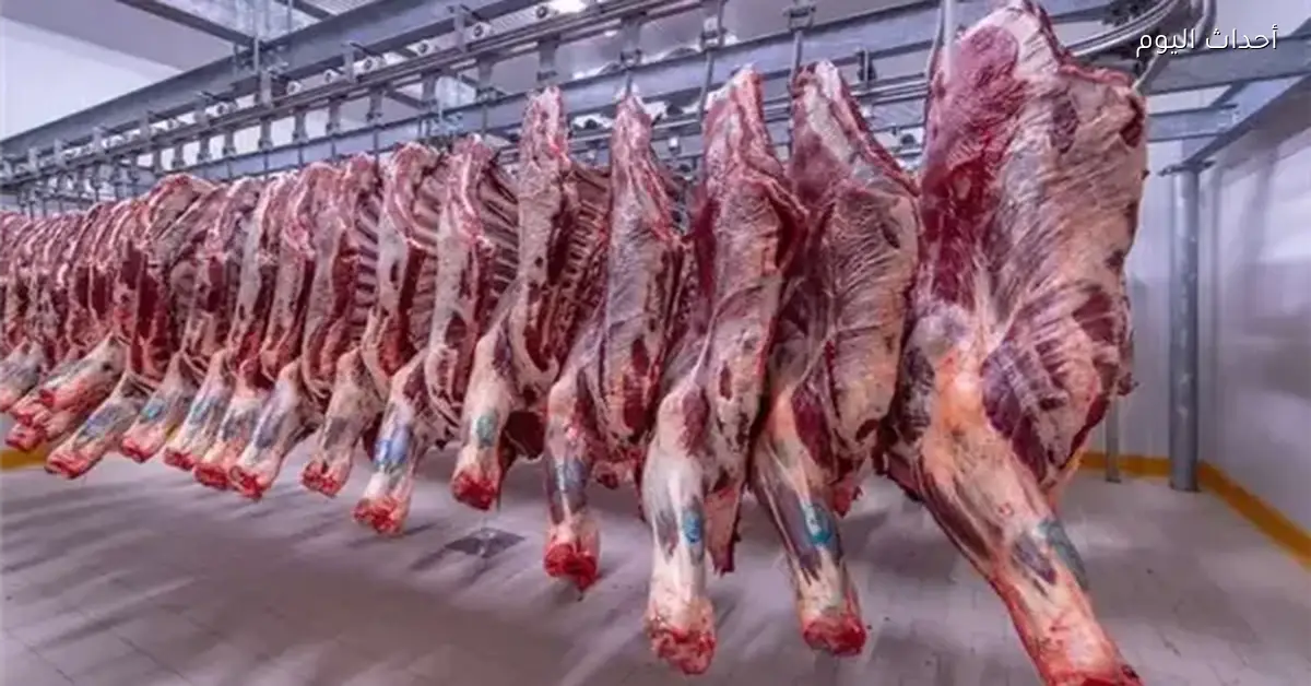 أسعار اللحوم في مصر اليوم 27 فبراير 2026 بمتوسط 397 جنيهًا للكيلو