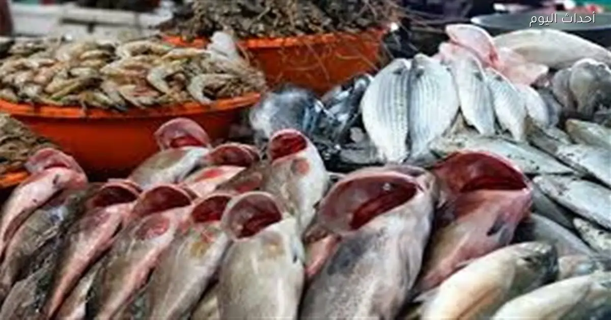 ارتفاع أسعار الجمبري وتباين أسعار البلطي في رمضان