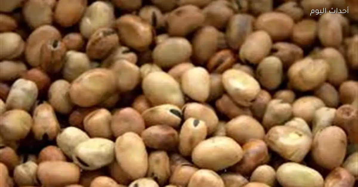 استقرار أسعار الفول المعبأ خلال رمضان والمنافذ تواصل التخفيضات