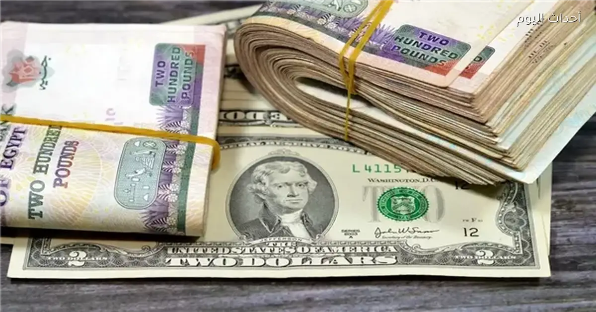 استقرار سعر الدولار مقابل الجنيه في تعاملات الخميس 12 فبراير 2026