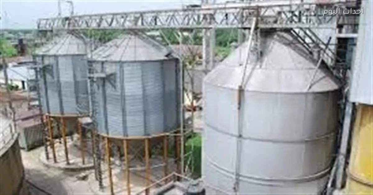 بيع أصول بقيمة 12.2 مليون جنيه لمطاحن جنوب القاهرة والجيزة