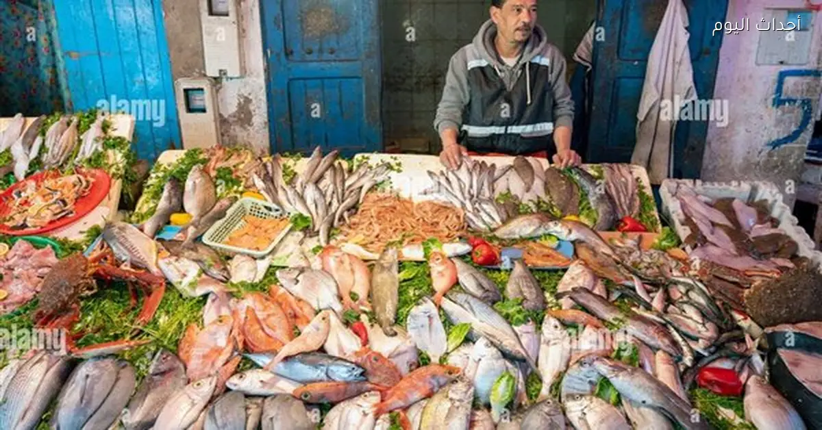 تراجع أسعار الأسماك في الأسواق المصرية بنسبة 7.2% يومياً