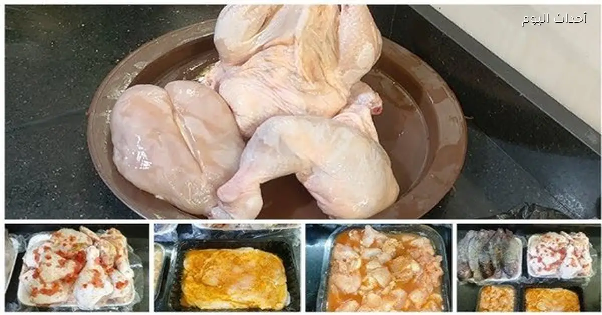 تراجع أسعار الدجاج في الجيزة اليوم الأحد وسعر البانيه