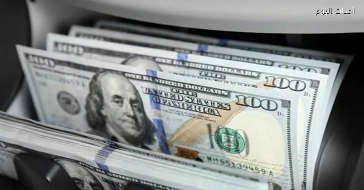 سعر الدولار مقابل الجنيه المصري اليوم الأحد 8 فبراير 2026