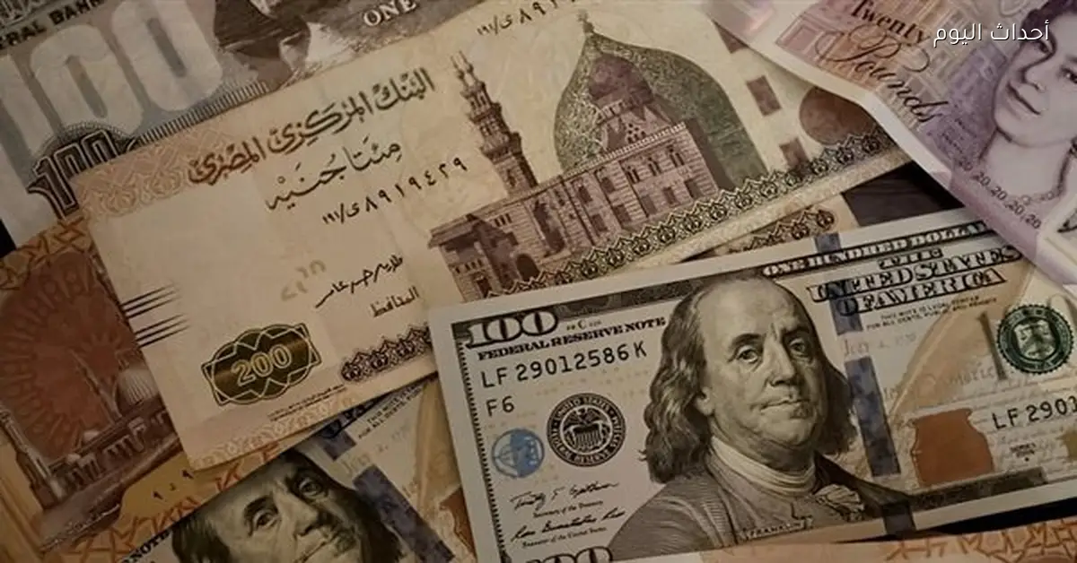 سعر الدولار مقابل الجنيه في ختام تعاملات 11 فبراير 2026