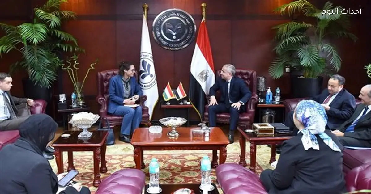 مباحثات مصرية مجرية لجذب استثمارات في السكك الحديدية والمياه