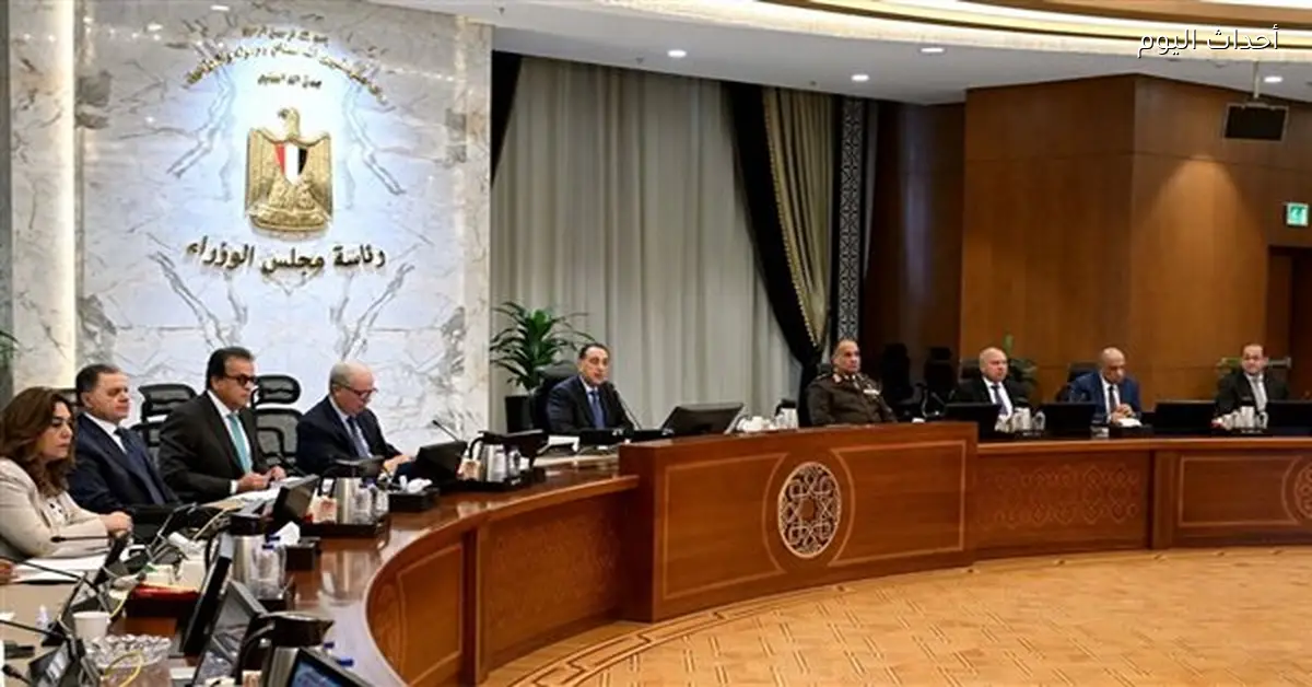 مدبولي يؤكد أهمية تنفيذ المشروعات لتحسين كفاءة الكهرباء