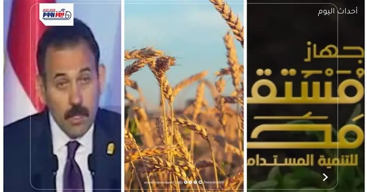 مصر تخفض واردات القمح بمقدار 1.6 مليون طن