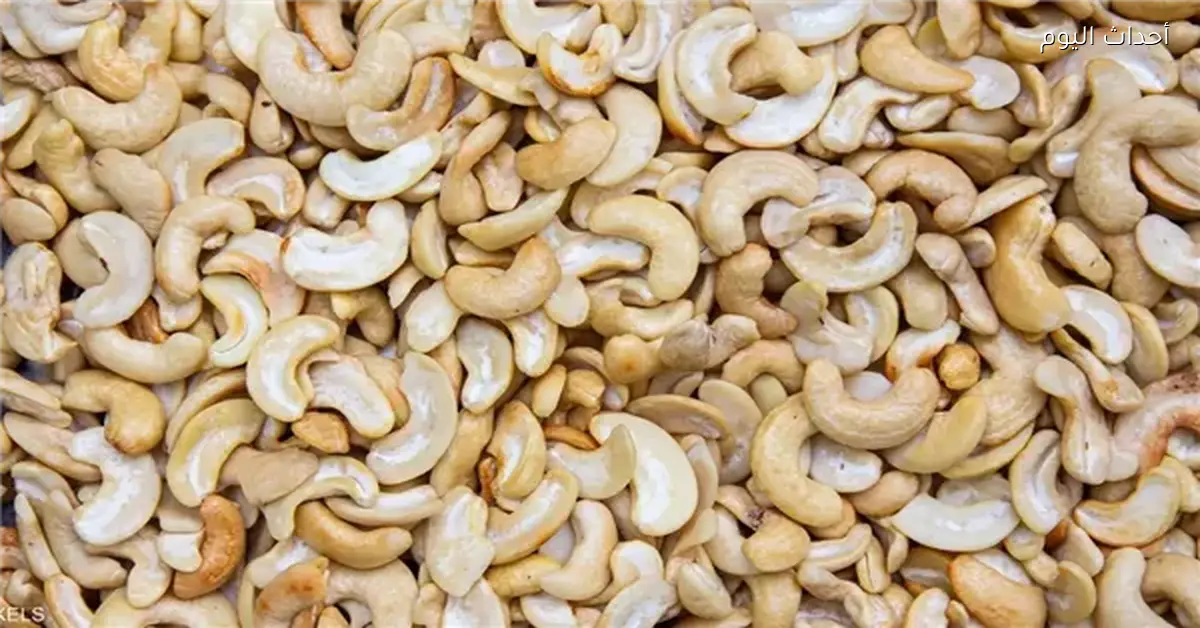 مصر تستورد كاجو بقيمة 20 مليون دولار في 2022