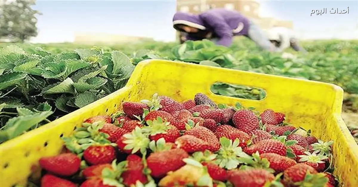 نمو الصادرات 8.9% وارتفاع الواردات 12.9% وفق الإحصاء