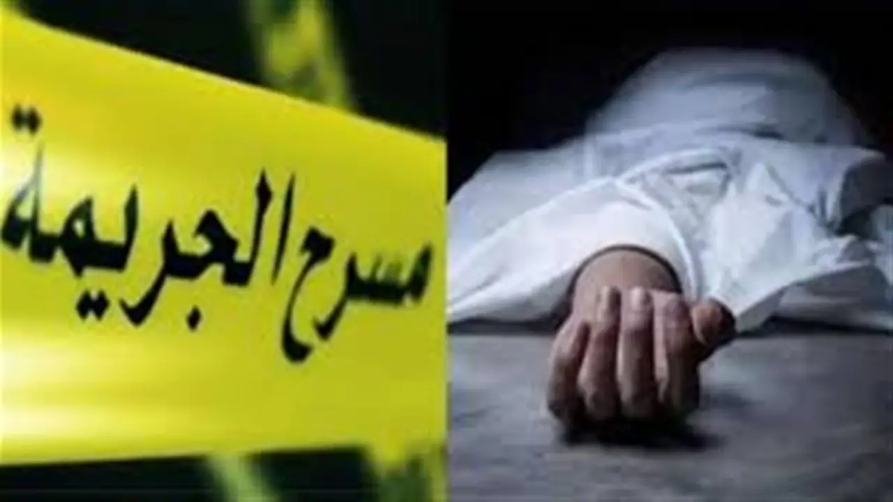 كاميرات المراقبة وشريحة الهاتف: 5 مشاهد قادت لضبط محامية الإسكندرية