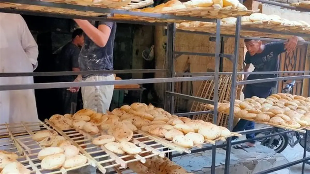 شكاوى من أصحاب المخابز حول أعباء الخصم المباشر ووزارة التموين تؤكد انتظام المنظومة