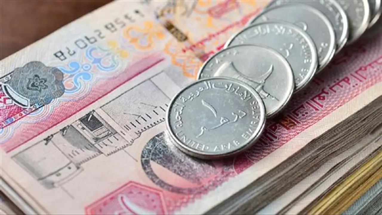 استقرار سعر الدرهم الإماراتي أمام الجنيه المصري في البنك المركزي