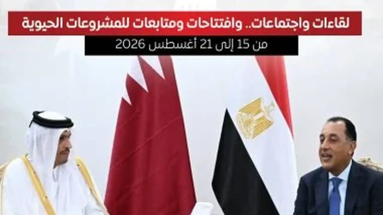 مجلس الوزراء يستعرض أبرز أنشطة رئيس الوزراء خلال الأسبوع في إنفوجراف